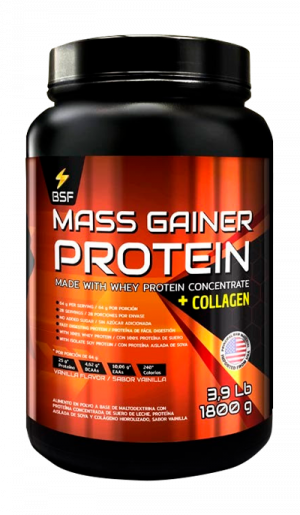 Mass Gainer Proteína