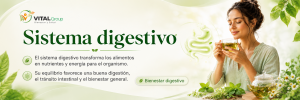 sistema-digestivo