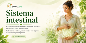 sistema-intestinal