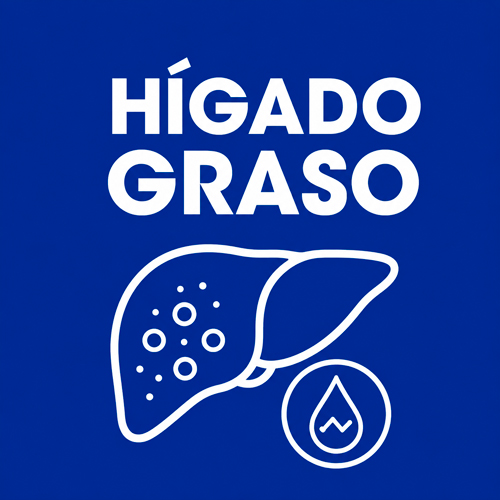 higado-graso