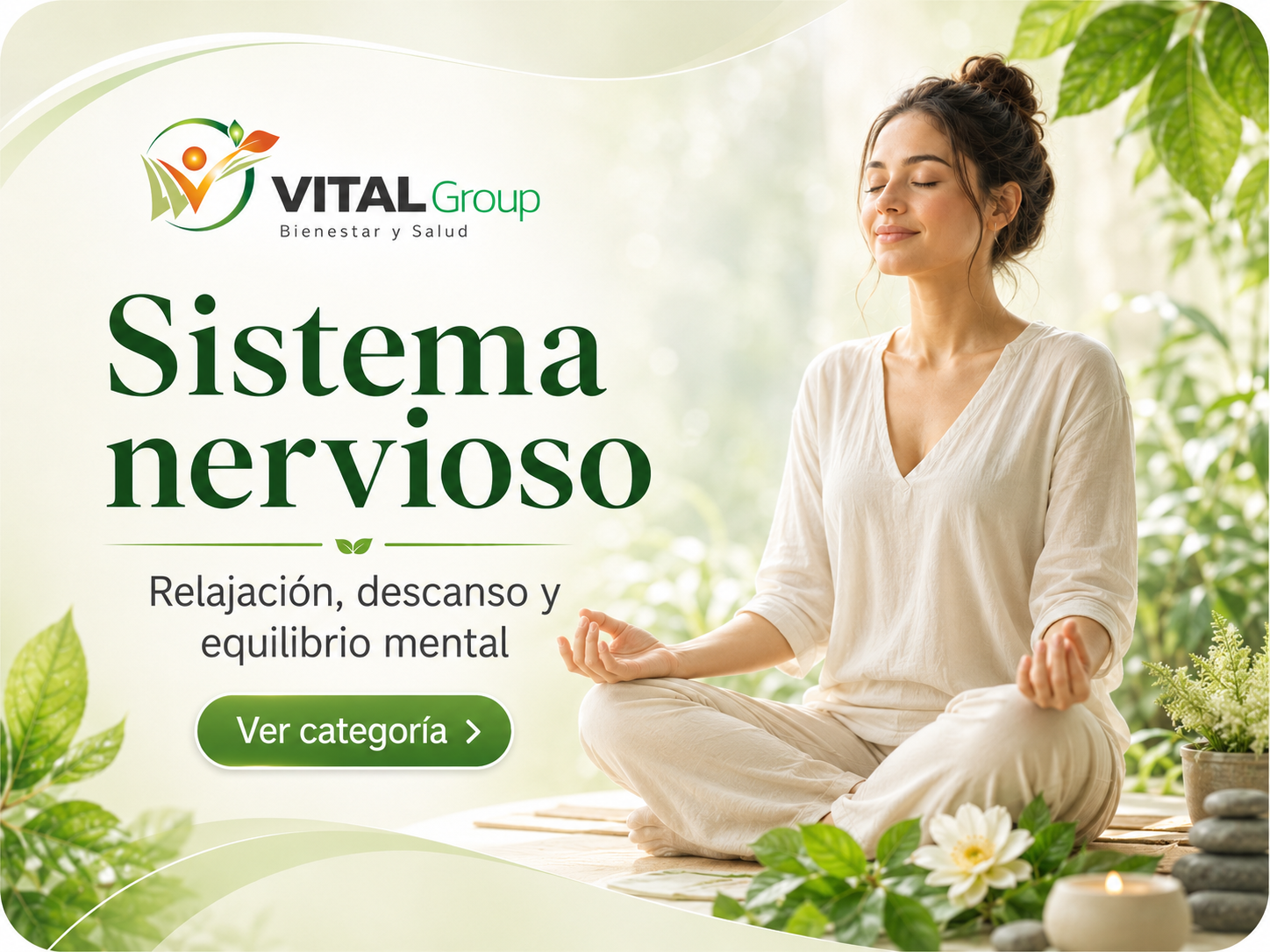 sistema-nervioso sistema-nervioso