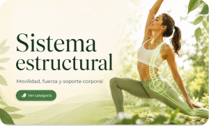 sistema-estructural