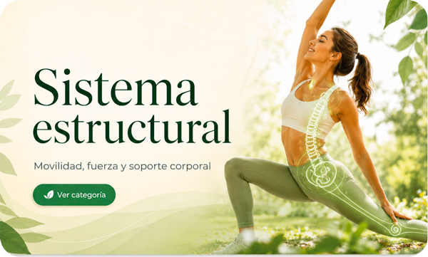 vitalgroup-sistema-estructural sistema-estructural