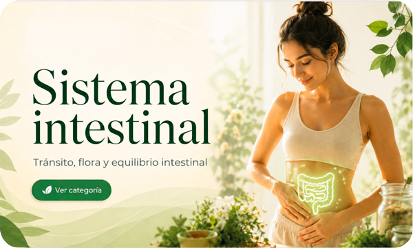 vitalgroup-sistema-intestinal sistema-intestinal