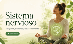 sistema-nervioso