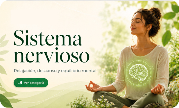 vitalgroup-sistema-nervioso sistema-nervioso
